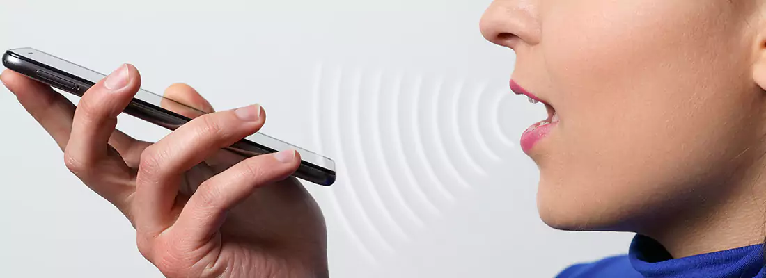 Residential and Commercial Voice Recognition Access Solutions in Southchase, FL